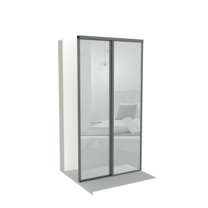 Mirror Doors